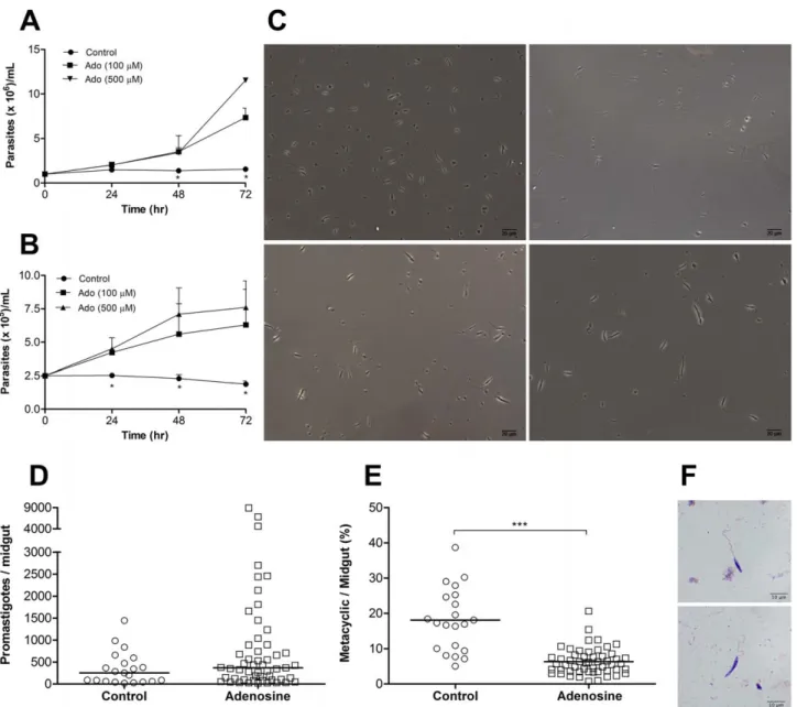Figure S1 Persistent presence of CGS 15943 in Leish- Leish-mania amazonensis culture is needed for interruption of parasite growth independently of the time of addition to culture