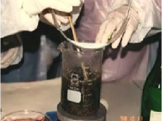 Figura 17 - Preparação da tinta ferro-gálica por ebulição (Eusman, 1998) 