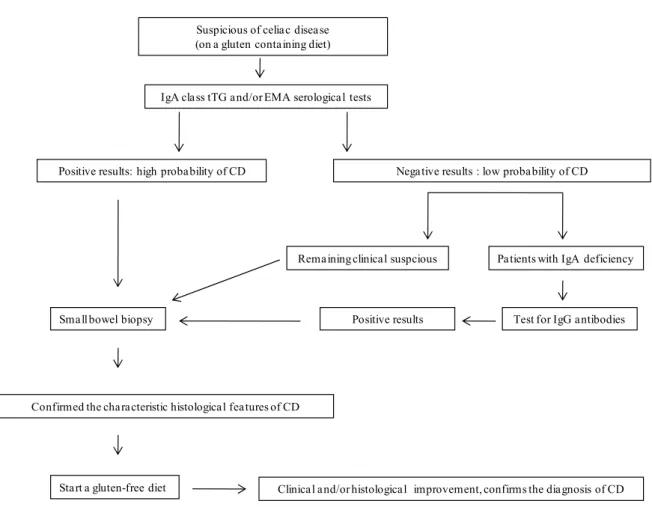 Fig. 1 Proposed approach for the evaluation of patients with suspected celiac disease [39, 43]