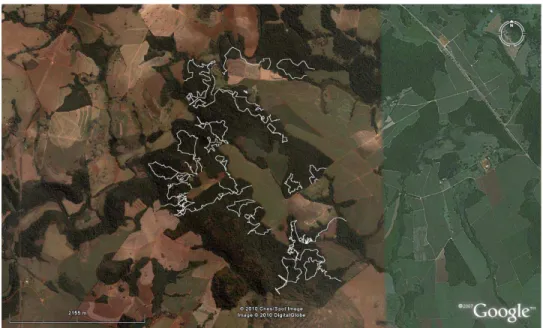 Figure 1. Satellite image indicating the paths traversed the forest fragment studied (Source: Google Earth © ).