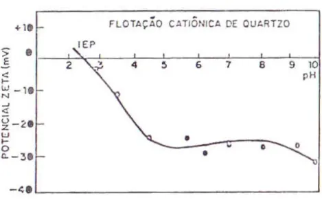 Figura 4.9 - Potencial zeta do quartzo como função do pH (Coelho et alii, 1979)  Vale  salientar  que  quando  se  diz  que  a  superfície  de  uma  espécie  está  carregada  positivamente  ou  negativamente,  essa  carga  é  um  valor  médio  estatístico