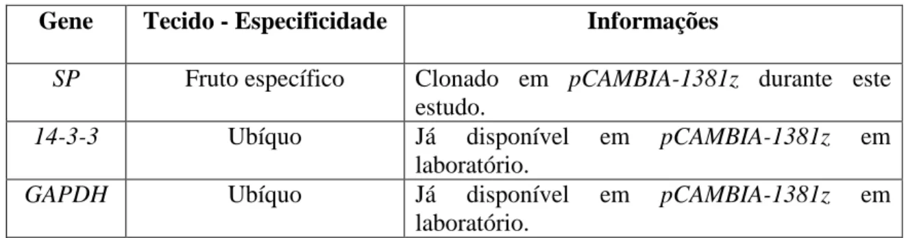 Tabela 1 – Cassetes de Expressão introduzidos em Agrobacterium tumefaciens. 