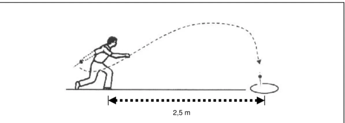 Figura 1. Desenho esquemático da tarefa de arremesso de dardo adaptada de Al-Abood, Davids e Bennett  (2001)