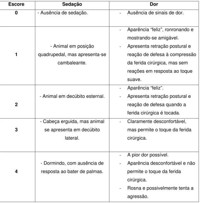 Figura 2: Escala Descritiva Simples de avaliação da dor e sedação usada por Slingsby e  Waterman-Pearson (1998)