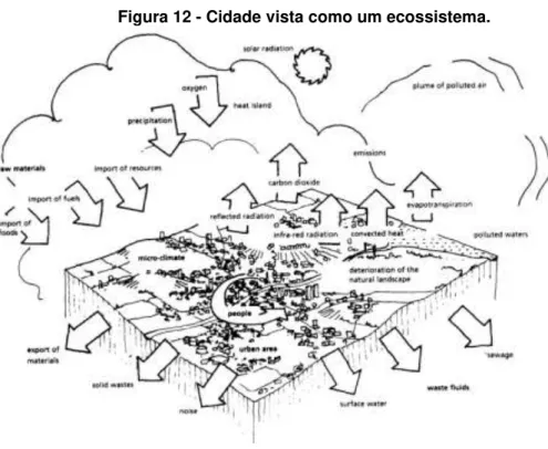 Figura 12 - Cidade vista como um ecossistema. 