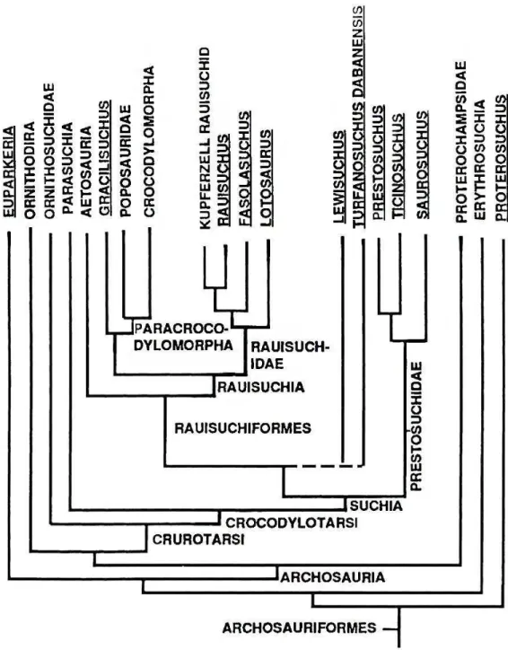 Figura 7 - Cladograma do consenso estrito das seis árvores mais parcimoniosas de Parrish (1993)