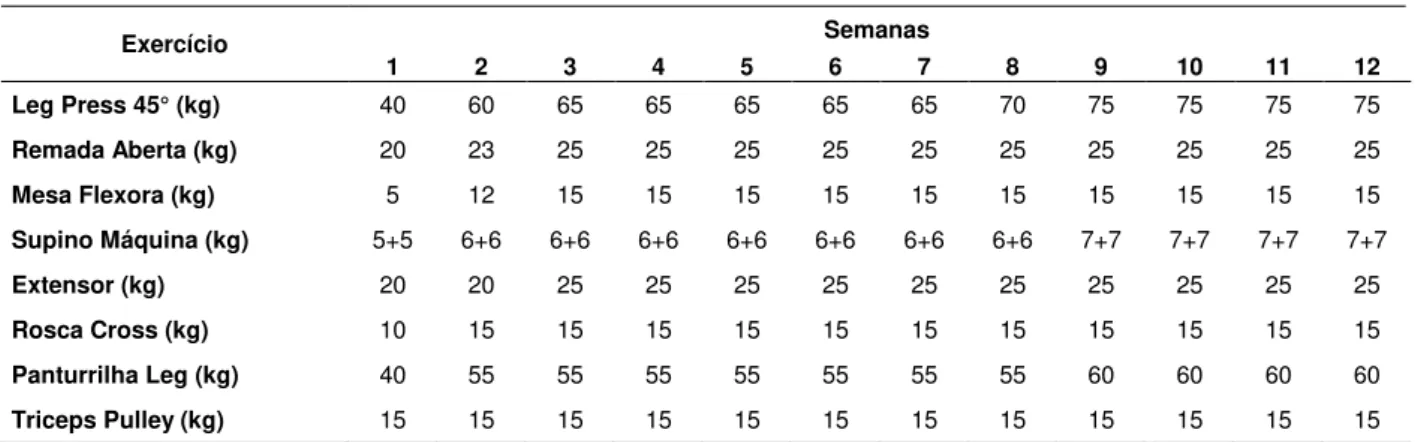 Tabela 1. Programa de treinamento resistido com descritivo da carga. 