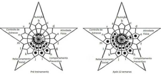 Figura 1. Respostas do questionário NAHAS.