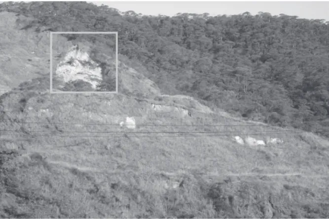 FOTO 1.  Setor de serra da região de Cubatão (SP), evidenciando um local com ausência de vegetação devido a uma cicatriz