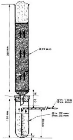 Figura 1.1: Biorreator do tipo colunas aeradas. As setas indicam a direção do fluxo de ar