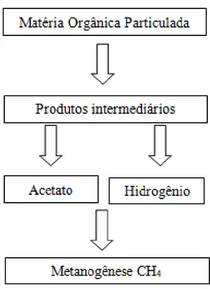 Figura  3:  Conversão  anaeróbia  da  matéria  orgânica  a  metano  -  Adaptado  de  Demirel;  Scherer,  2008