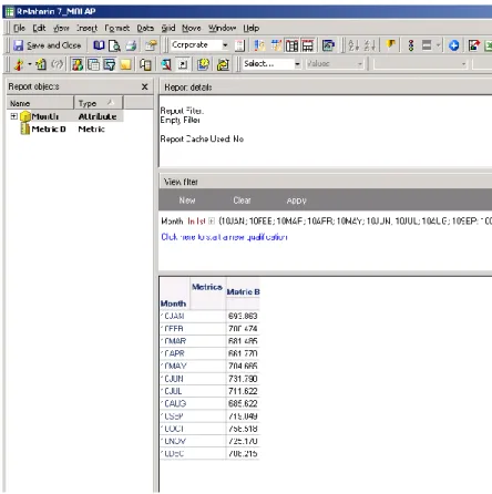 Figura 4.5. Relatório 7 MOLAP no MicroStrategy. 