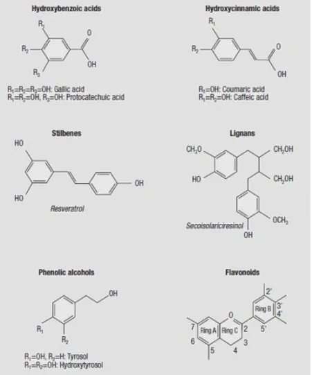 Figura  7.  Estruturas  químicas  dos  principais  grupos  de  polifenóis  (D`Archivio  et  al.,  2007)