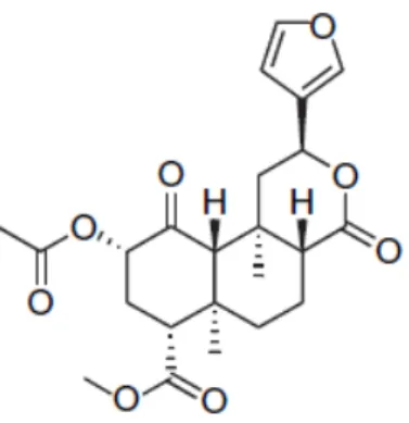 Fig. 5. Estrutura química da salvinorina A. 