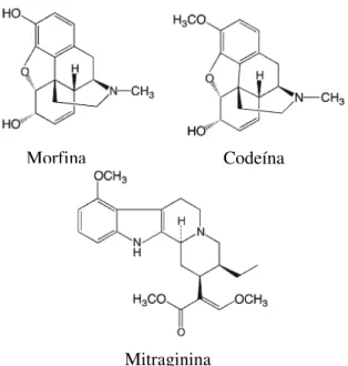 Fig. 7. Estruturas químicas de opióides clássicos e da mitraginina. 