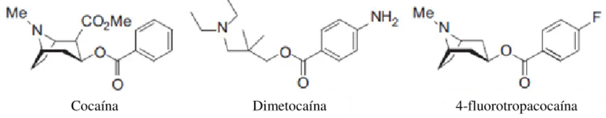 Fig. 8. Estruturas químicas da cocaína e dos seus análogos dimetocaína e pFBT. 