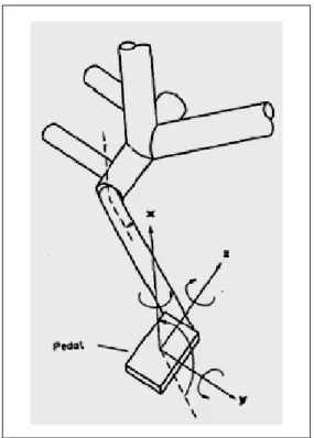 Figura  6 - Sistema de coordenadas do pedal. Adaptado de Davis; Hull (1981). 