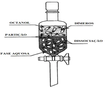 Figura  1.  Representação  esquemática  do  método  de  agitação.  A  seta  bifurcada  representa  o  interface onde a partição ocorre (Adaptado de Danielsson e Zhang, 1996)