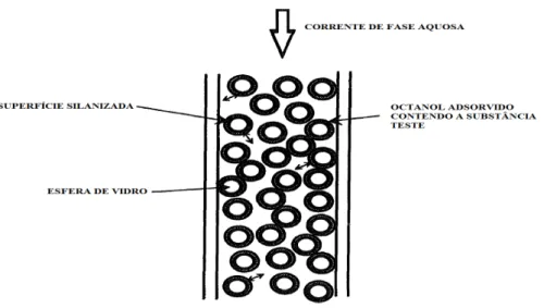 Figura 3. Representação esquemática do método de coluna (adaptado de Danielsson e Zhang,  1996)