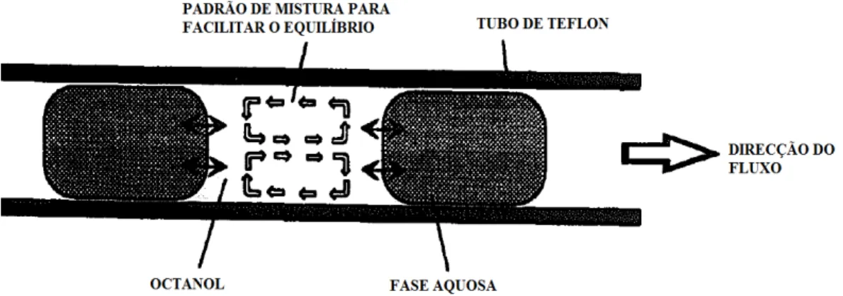 Figura  4.  Representação  esquemática  da  extracção  F.I.  (adaptado  de  Danielsson  e  Zhang,  1996)