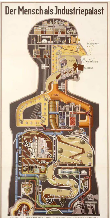 Figura 8. Pôster ‘O Homem como um Palácio Industrial’.   Fonte: KAHN, 1926. 