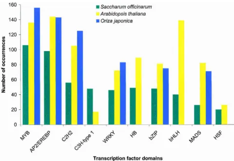 Figure 6 The 10 most common transcription factor Pfam domains in SAS proteins. The 43,141 SASs were translated using the ESTScan algorithm, and the resulting 40,821 amino acid sequences were then entered as queries in the Pfam database using the default se