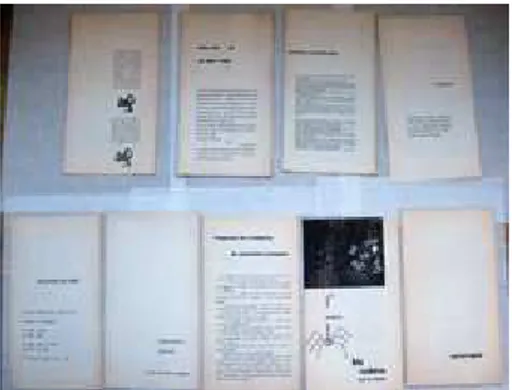 Figure 1. Poesia Experimental 1. The booklets. 