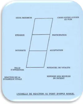 Figure 5 : Echelle de réaction au point d'appui manuel, extrait de « la vie entre les mains, 1989, p.91) 