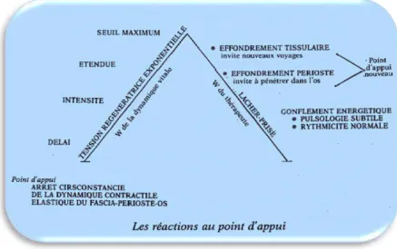 Figure 6 : Les réactions au point d'appui extrait de « Une thérapie manuelle de la profondeur » 1990, p.111 