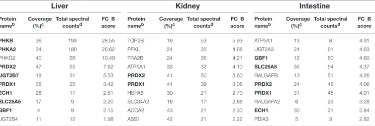 TABLE 1 | Top 10 UGT1A interaction partners a for each tissue based on confidence score.