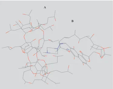 FIGURE 3 - Molecular Model of RP inclusion complex with hydroxypropyl-β-cyclodextrin. Key (A) HPβCD molecule; (B) Rifampicin molecule.