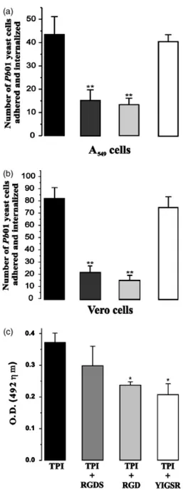 Fig. 4. Interaction assay data and competitive assay with PbTPI and peptides during the interaction with pneumocytes