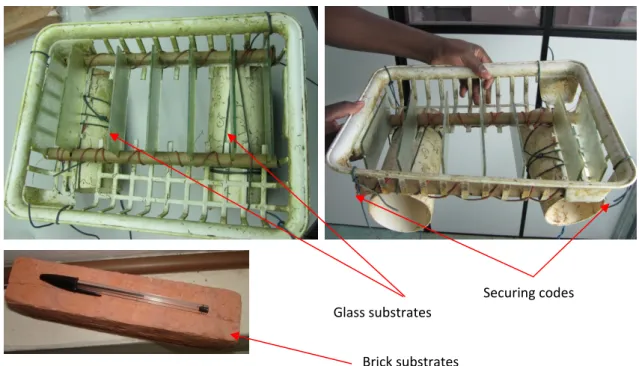 Figure 2: Artificial substrates used for benthic diatom sampling. 