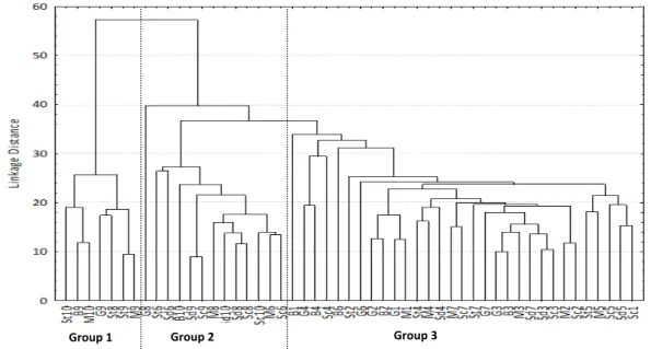 Figure  2.3:  A  cluster  analysis  based  on  pooled  benthic  diatom  community  data  sampled  at  10  sampling  sites  from  different substrates during the 4 samplings. Some natural substrates were not available on all the sampling sites, while  there