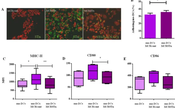 Figure  2.  Mo-DCs  adhere  preferentially  to  STn +   MCR  cell  line  and  show  a  less  mature  phenotype