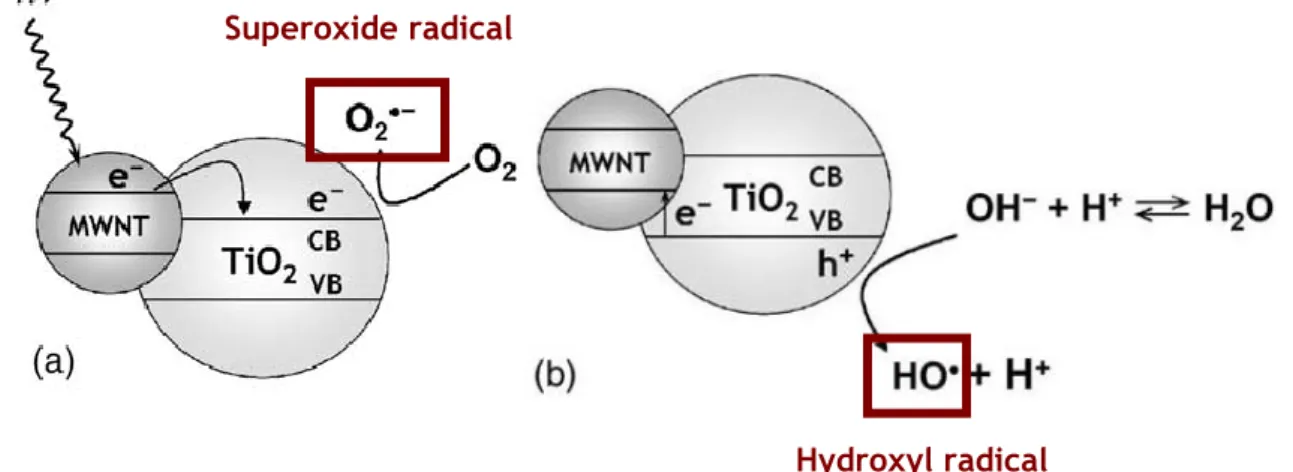 Figure 1.2 - MWCNT acting as photosensitizer in the composite catalyst: (a) following photon  absorption,  an  electron  is  injected  into  the  CB  of  TiO 2   semiconductor;  (b)  the  electron  is  back-transferred to MWCNT with the formation of a hole