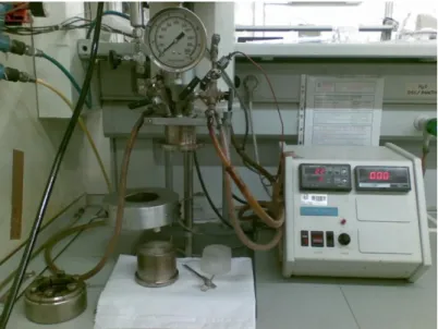 Figure 2.1 - Autoclave and temperature controller used in the functionalization of the  SWCNT
