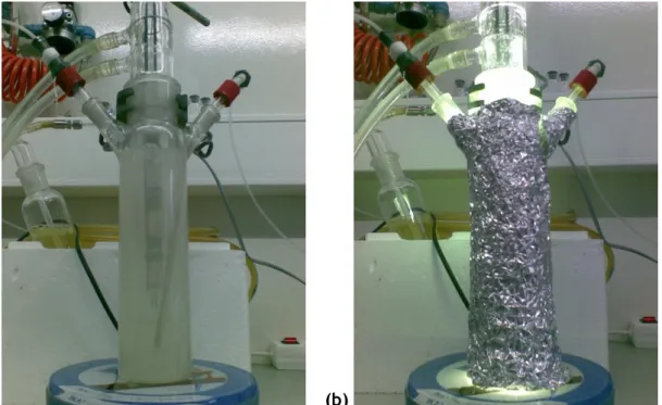 Figure 2.2 - Photoreactor employed on the photocatalytic experiments with the lamp (a) off  and (b) on