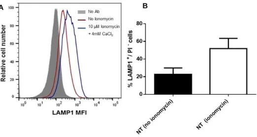 Figure III.1 - Ionomycin treatment increases LAMP1 cell surface expression in HeLa cells