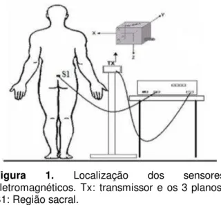 Figura  1.  Localização  dos  sensores  eletromagnéticos.  Tx:  transmissor  e  os 3 planos