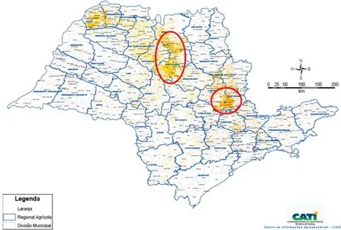Figura 9. Distribuição geográfica das unidades de produção de laranja no Estado de São  Paulo