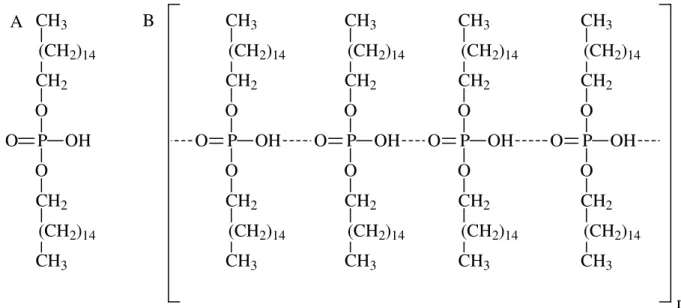 Figura  1.7  (A)  Estrutura  molecular  do  DHP.  (B)  Possível  interação  entre  as  moléculas  de  DHP  na  formação  do  filme  sobre  a  superfície  do  eletrodo  após  evaporação do solvente 39 