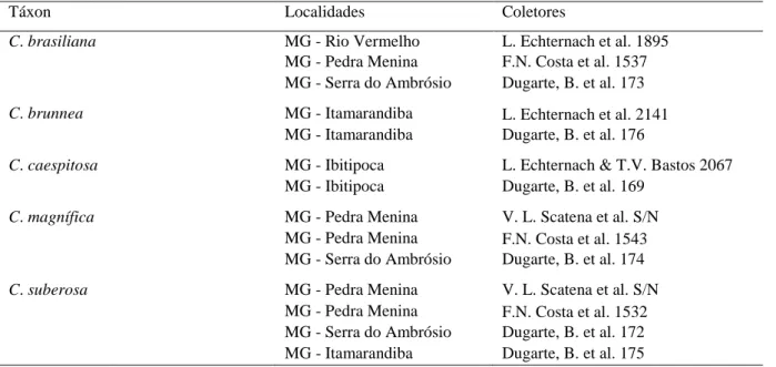 Tabela 1. Espécies de Comanthera utilizadas no estudo anatômico 