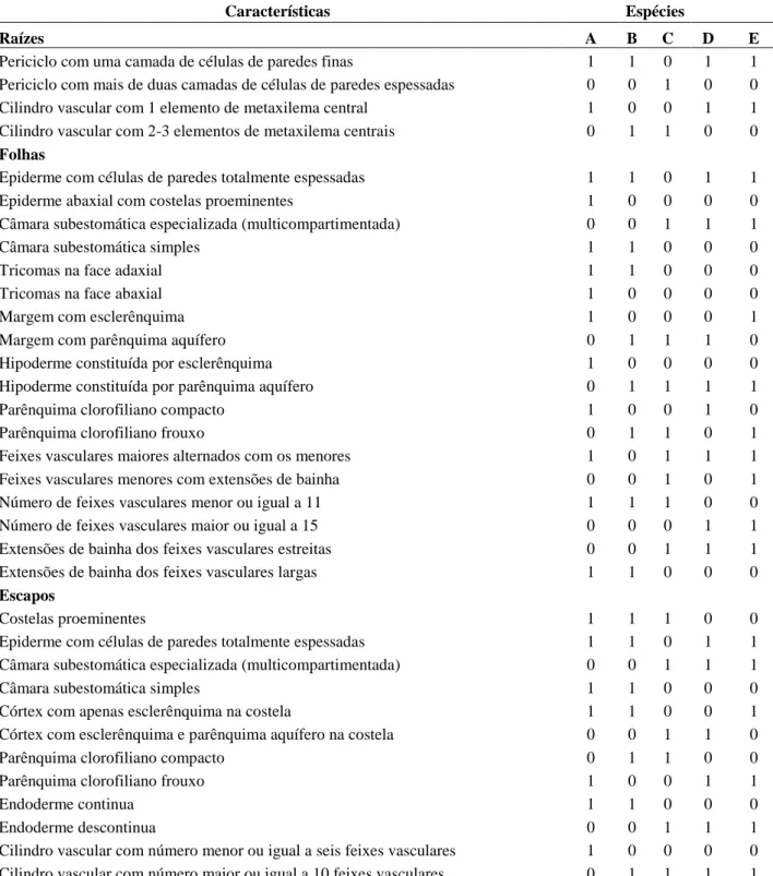 Tabela 2. Características anatômicas  de raízes, folhas e escapos de espécies de  Comanthera:  A=  C