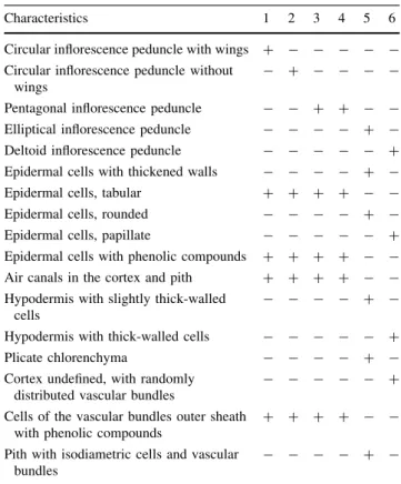 Table 3 Inflorescence peduncle characteristics with diagnostic value for the studied species