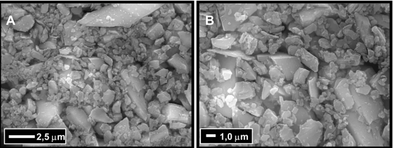 Figura 4.9 – Micrografias obtidas por microscopia eletrônica de varredura da  matéria-prima feldspato utilizada:  