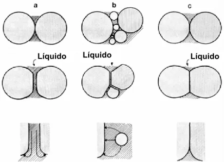 Figura 2.10 – Esquemas dos possíveis mecanismos de acomodação de grãos  e simultâneo crescimento de grão, durante o estágio intermediário:  