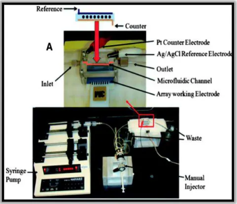 FIGURA  1.  4  -  Sistema  microfluídico  composto  pela  bomba  de  seringa,  injetor  manual conectado à célula microfluídica