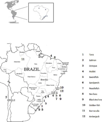Fig. 1. A map displaying the states where ﬁsh samples were collected.