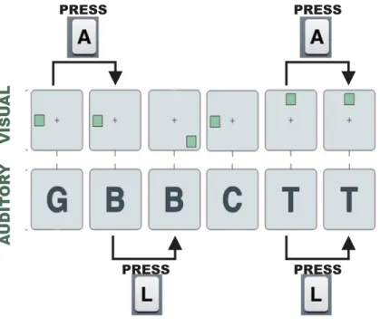 Figure 2.  The Dual n-Back Task scheme.